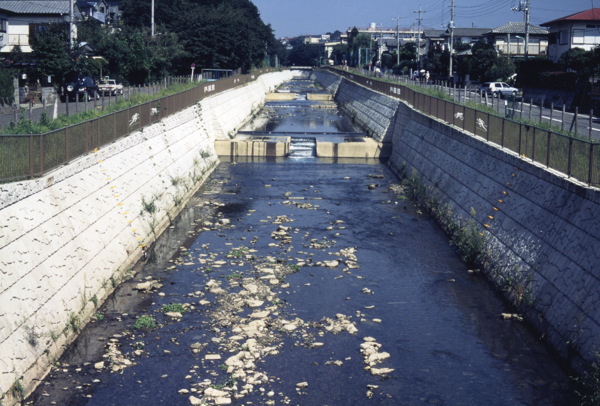 恩田川整備