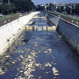 恩田川整備